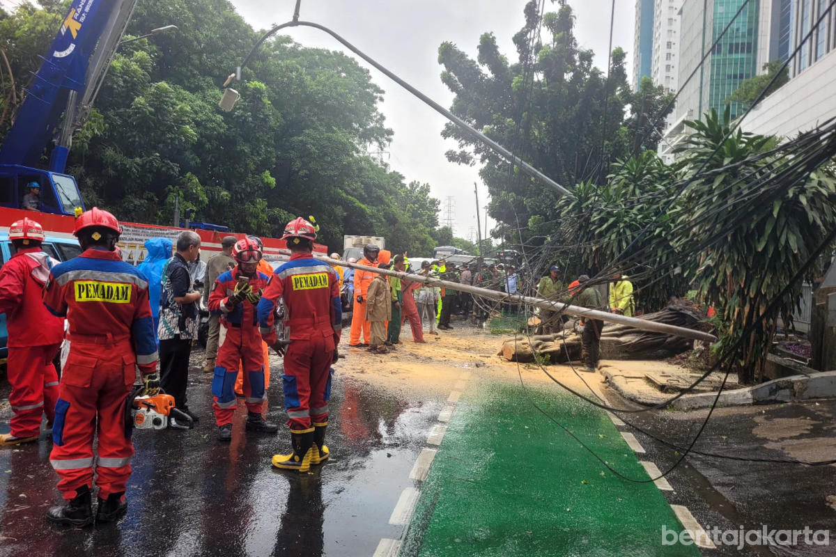 Personel Gabungan Atasi Pohon Tumbang di Jl Jaktim 