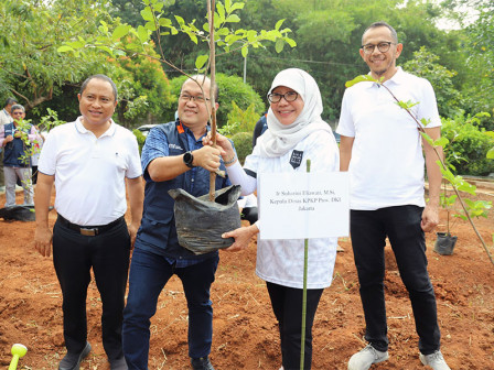 Ratusan Pohon Jambu Kristal Ditanam Dijakasel