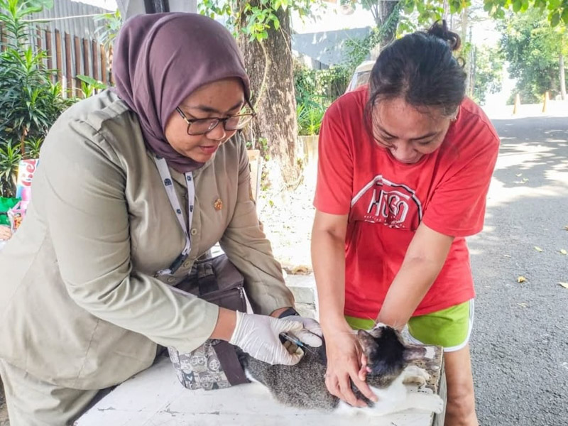 Vaksinasi Rabies di Cilandak Timur Sasar 171 HPR 