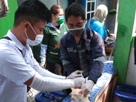 1.700 HPR di Kepulauan Seribu Ditargetkan Vaksin Rabies Tahun Ini