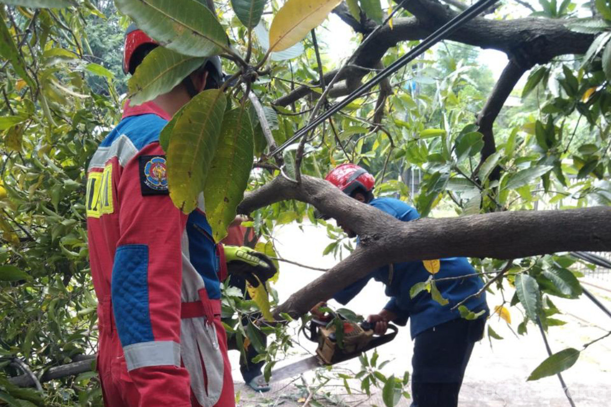 Evakuasi pohon tumbang di Perumahan Arcadia, Jalan Gading Arcadia