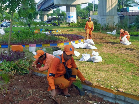 Lahan Tidur di Jalan Protokol Disulap jadi Penghijauan