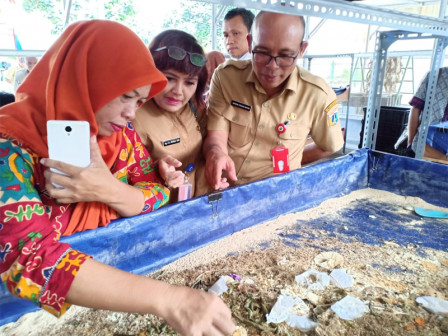 Pemkot Jakarta Pusat Kembangkan Budidaya Maggot Untuk Kurangi Sampah