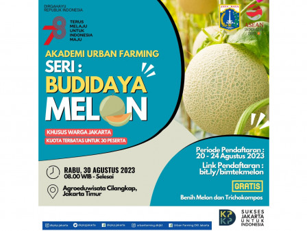 Yuk Ikut Akademi Urban Farming Sesi Budidaya Melon di Agroeduwisata Cilangkap  