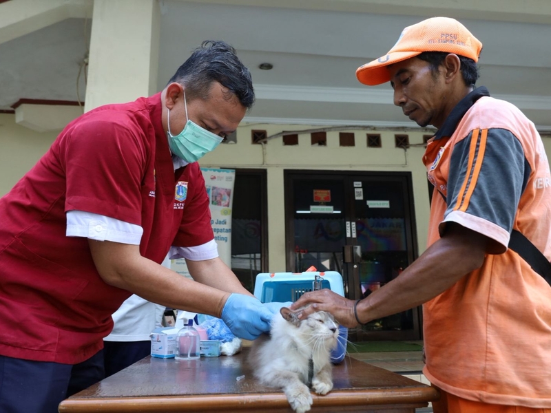 143 Ekor HPR di Kampung Rawa Divaksin Rabies