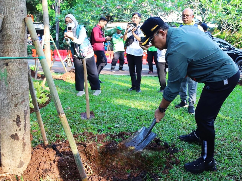 Arifin Tanam Lima Pohon Tebabuya di Lapangan Banteng