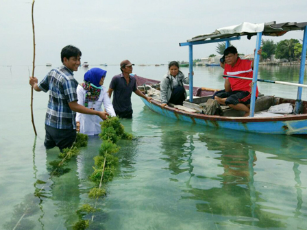 Kelompok Binaan Budidaya Rumput Laut di Pulau Tidung Panen