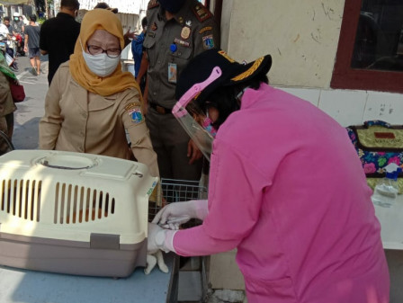 Sudin KPKP Jakpus Berikan Vaksin Pada 439 Hewan Untuk Cegah Rabies