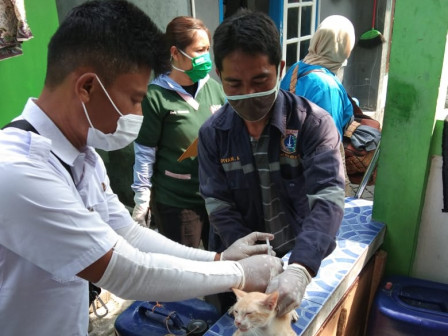 Sudin KPKP Kepulauan Seribu Targetkan Vaksin Terhadap 1.600 HPR Tahun Ini