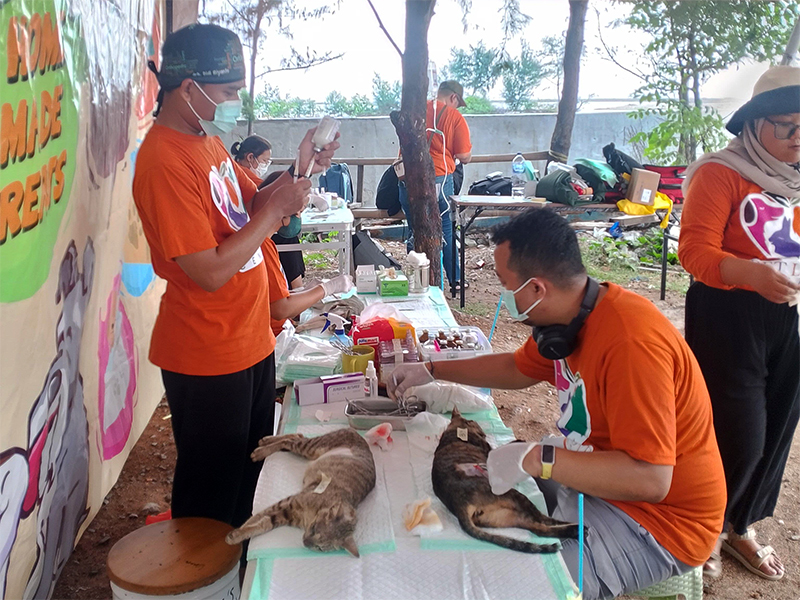 Sterilisasi dan Vaksinasi Rabies di Pulau Tidung Sasar 131 HPR