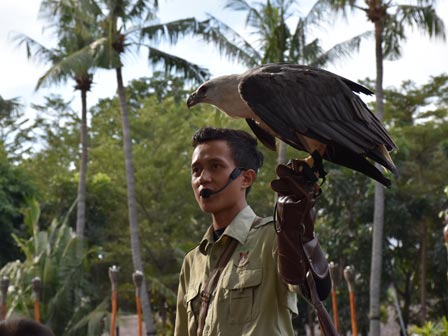  Fauna Land Ancol Memiliki 109 Biota Unik 