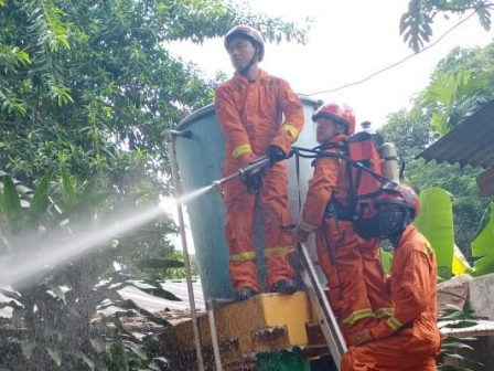 Petugas Basmi Ulat Bulu di Jati Padang