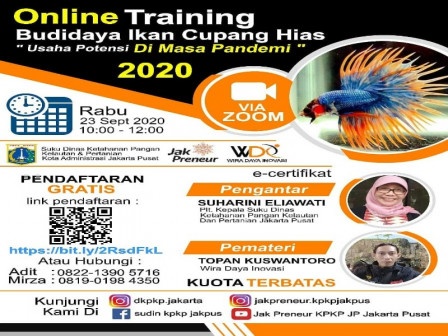 Sudin KPKP Jakpus Gelar Pelatihan Budidaya Ikan Cupang Hias Secara Online