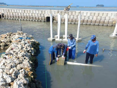 Sudin SDA Kepulauan Seribu Bangun Jembatan Pantai Sisi Selatan Pulau Harapan 