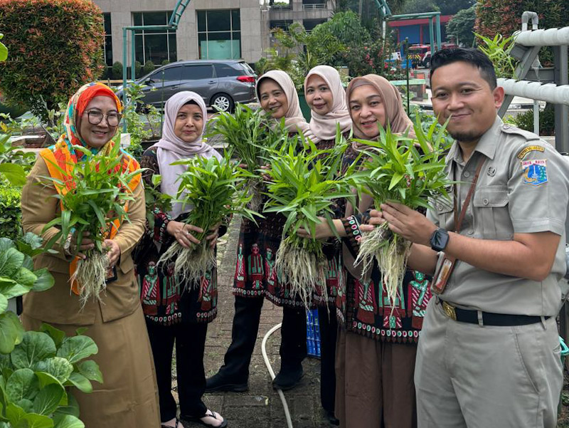  20 Kilogram Sayuran Dipanen di Walkot Farm Jaksel 