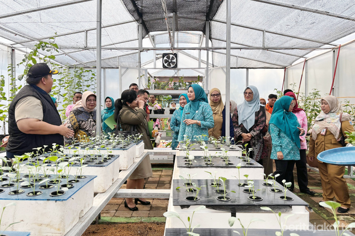 Tim verifikasi lapangan mengunjungi green house di RPTRA Sunter Jaya