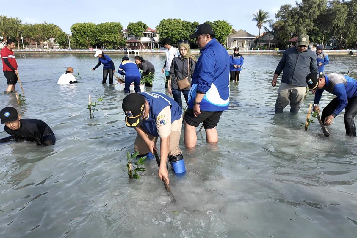 Sudin SDA kepulauan Seribu tanam mangrove ist