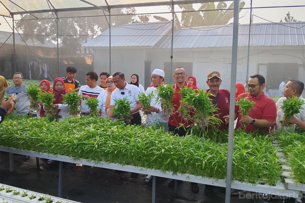 Munjirin Pimpin Panen Sayur sekolah nur