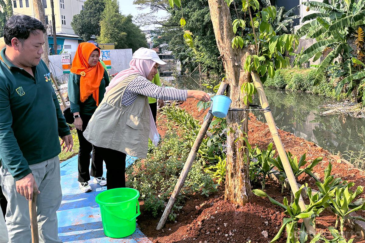 Bantaran Anak Kali Cilwung tanam Pohon Bungur budi2
