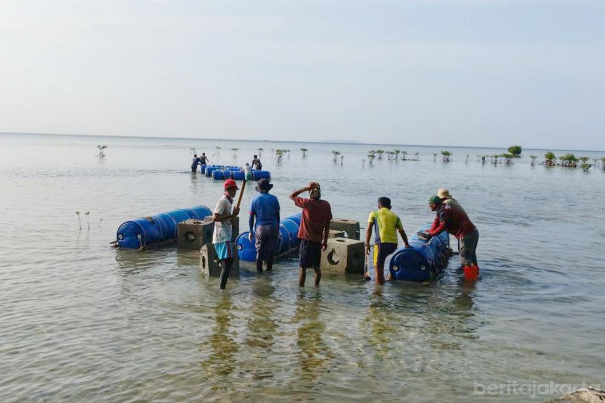 600 Substrat Karang Dilepas di Perairan Pulau Pari anita