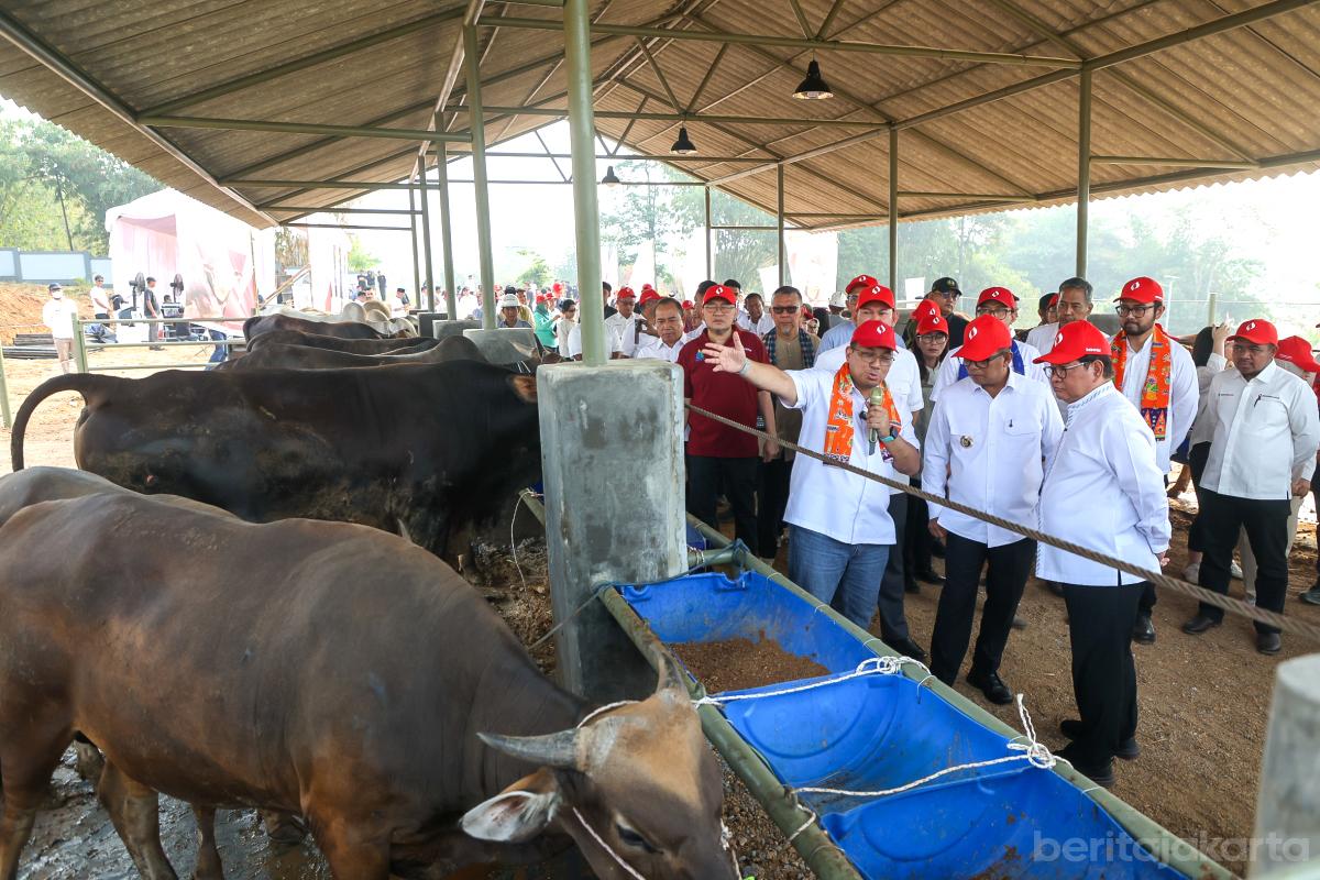 Pramono kunjungan ciangir rezap