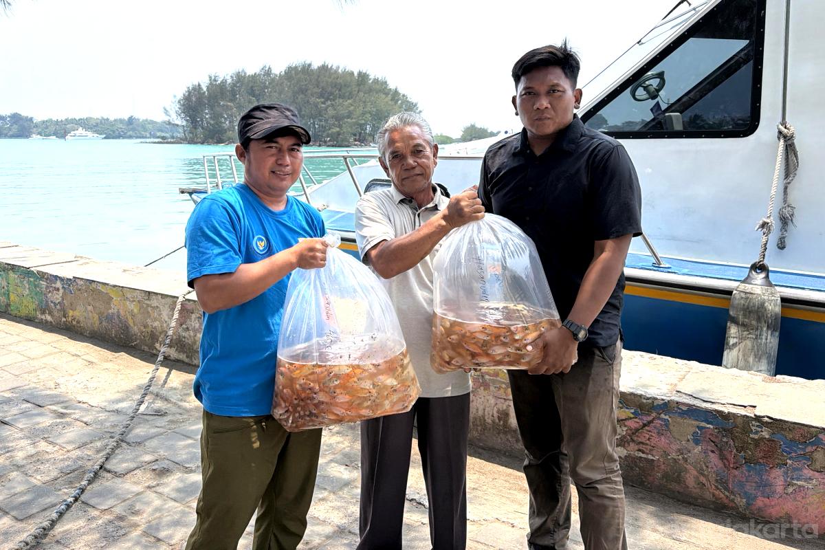 Distribusi Benih Ikan Air Tawar anita