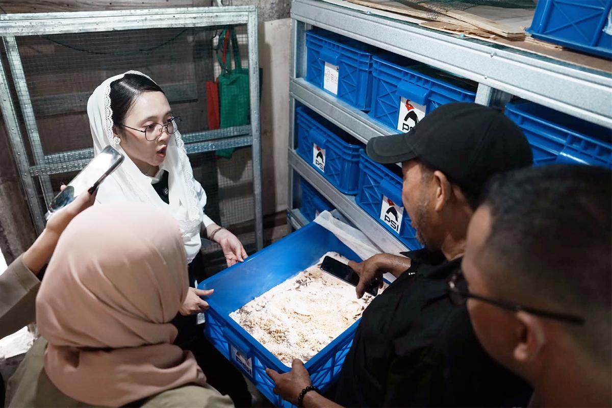 Budidaya maggot pengelolaan sampah karet tengsin fakhri ist