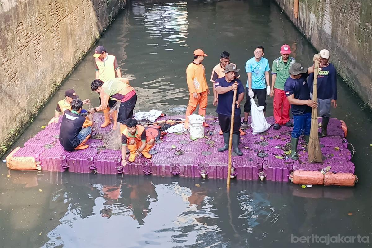 Pengendalian ikan sapusapu jakbar budi