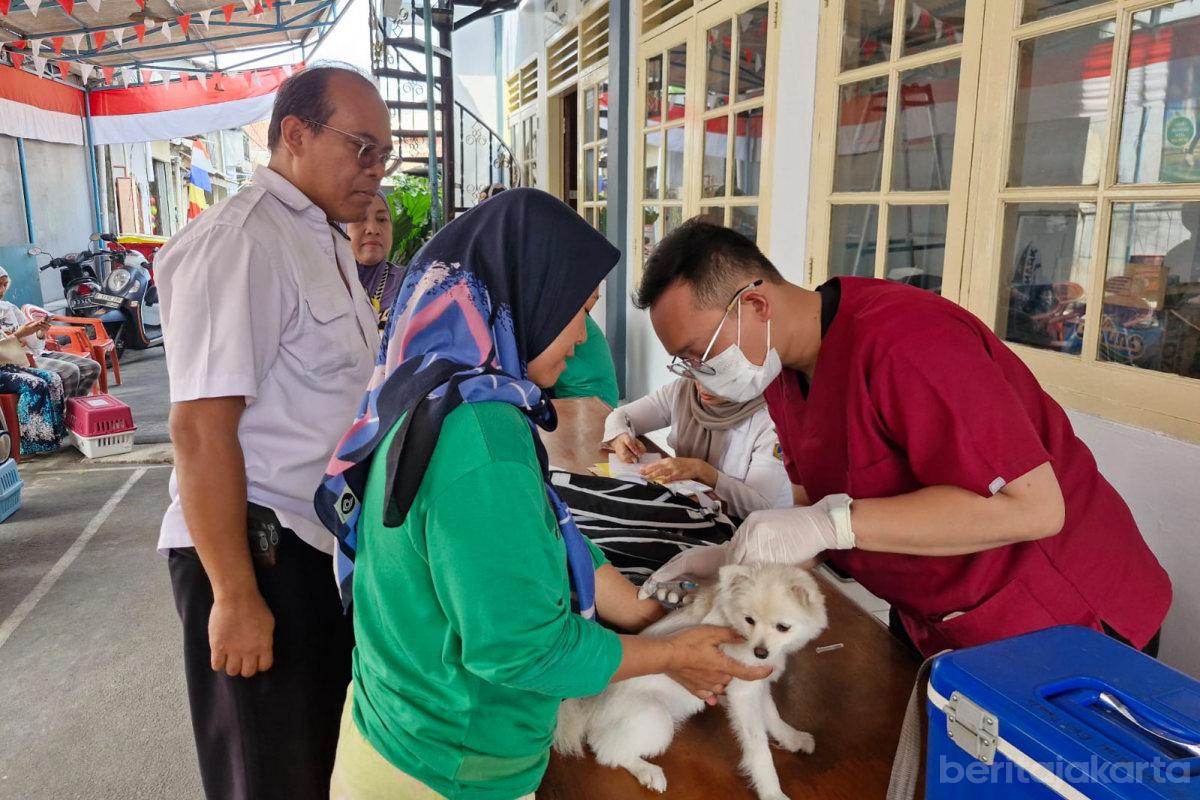 Vaksin rabies hpr nurito