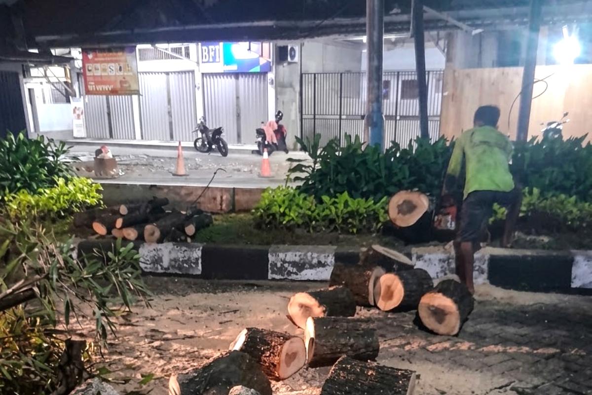 Evakuasi pohon tumbang kelapa dua wetan nurito