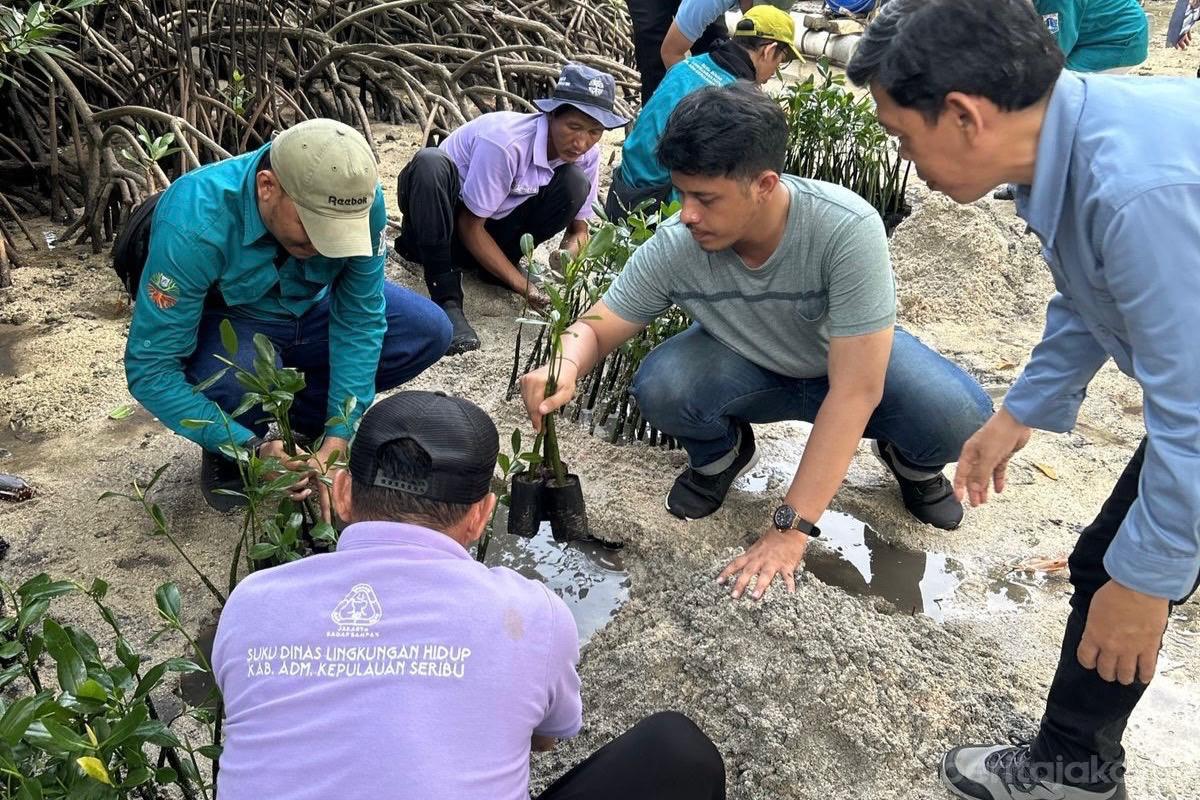 Sudin LH Tanam 500 Mangrove dan Lepas 50 Tukik di Pulau Sabira