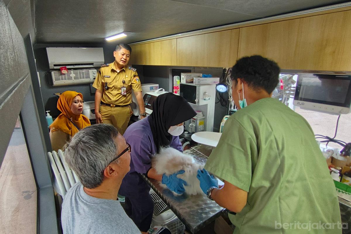 Mobil Klinik Hewan di Kelurahan Gunung Layani Pemeriksan Kesehatan 22 Ekor Kucing