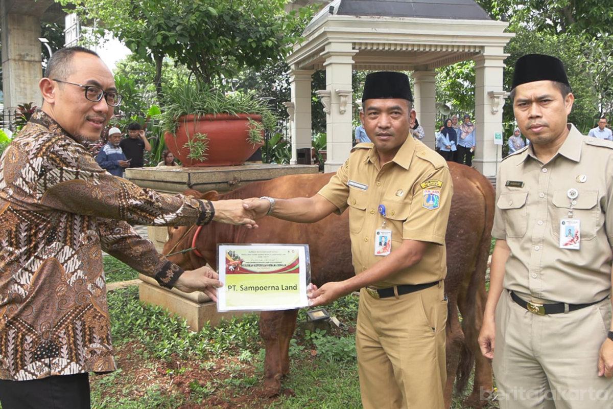 Pemkot Jaksel Terima Hewan Kurban dari Pihak Swasta