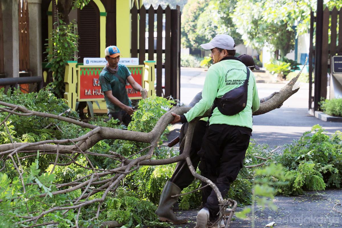 Pohon Rawan Tumbang Jalan Moch Kahfi II tiyo