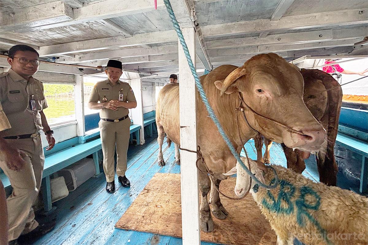 Distribusi hewan kurban pulau anita