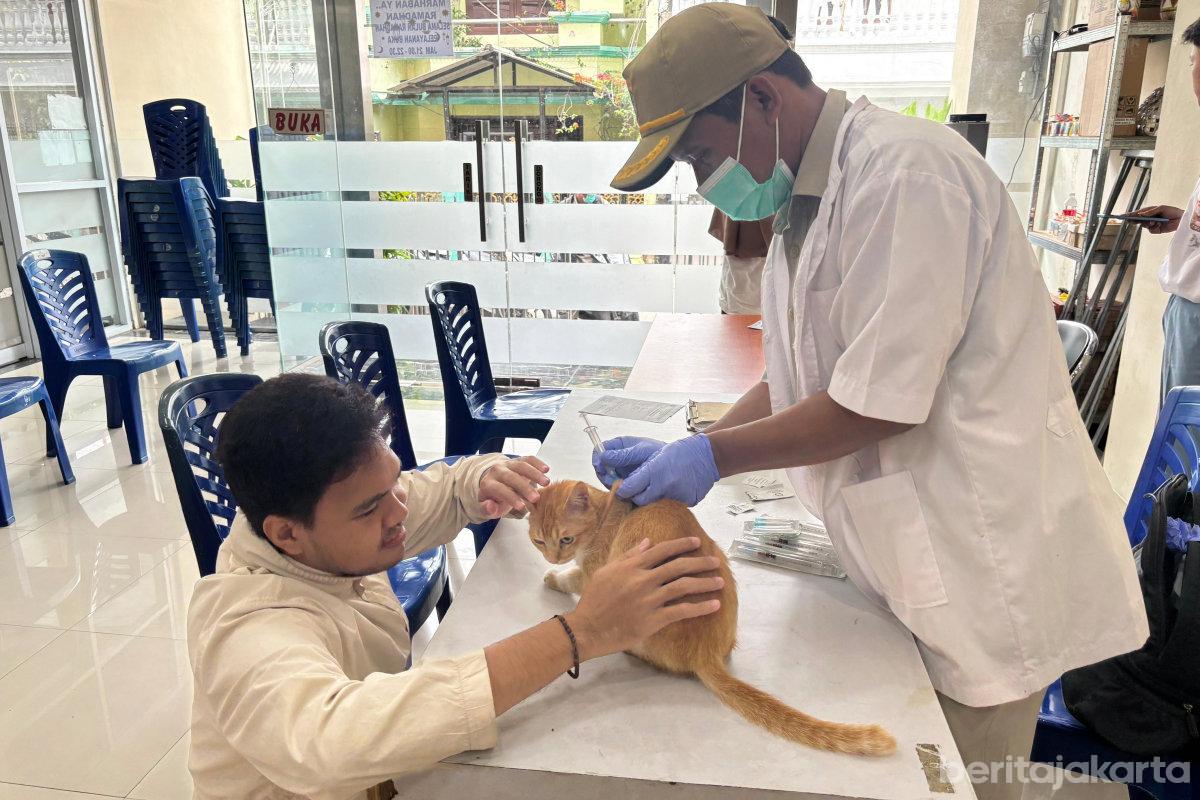 46 Ekor HPR Sunter Jaya Divaksinasu Rabies