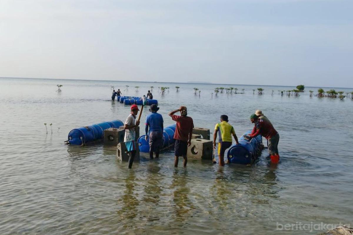 600 Substrat Karang Dilepas di Perairan Pulau Pari