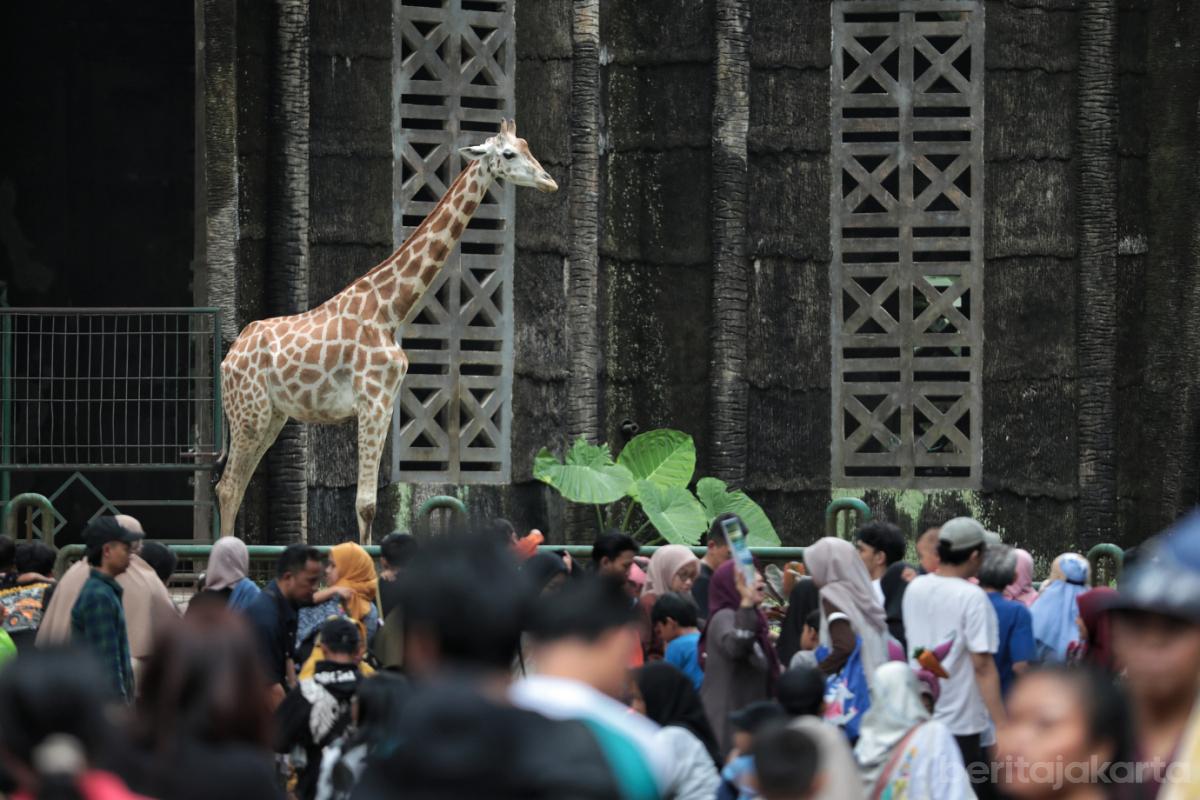Ragunan Libur paskah otoy