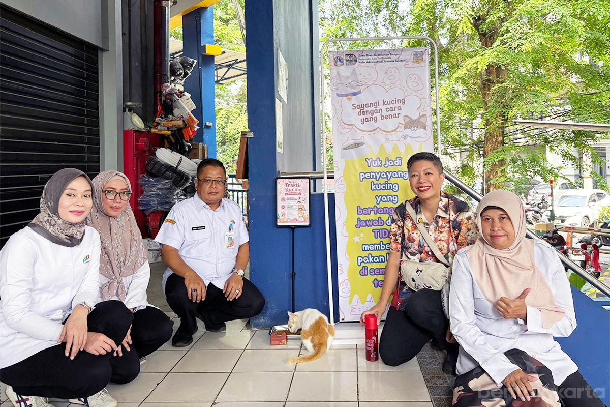 Francine Traktir Kucing Pasar Santa fakhri