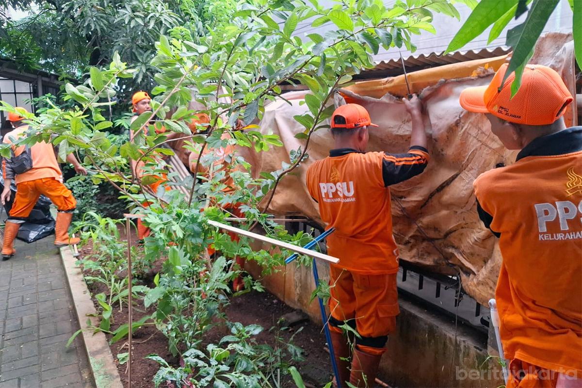 Terpal Lapak Pedagang Pasar Kincir budi