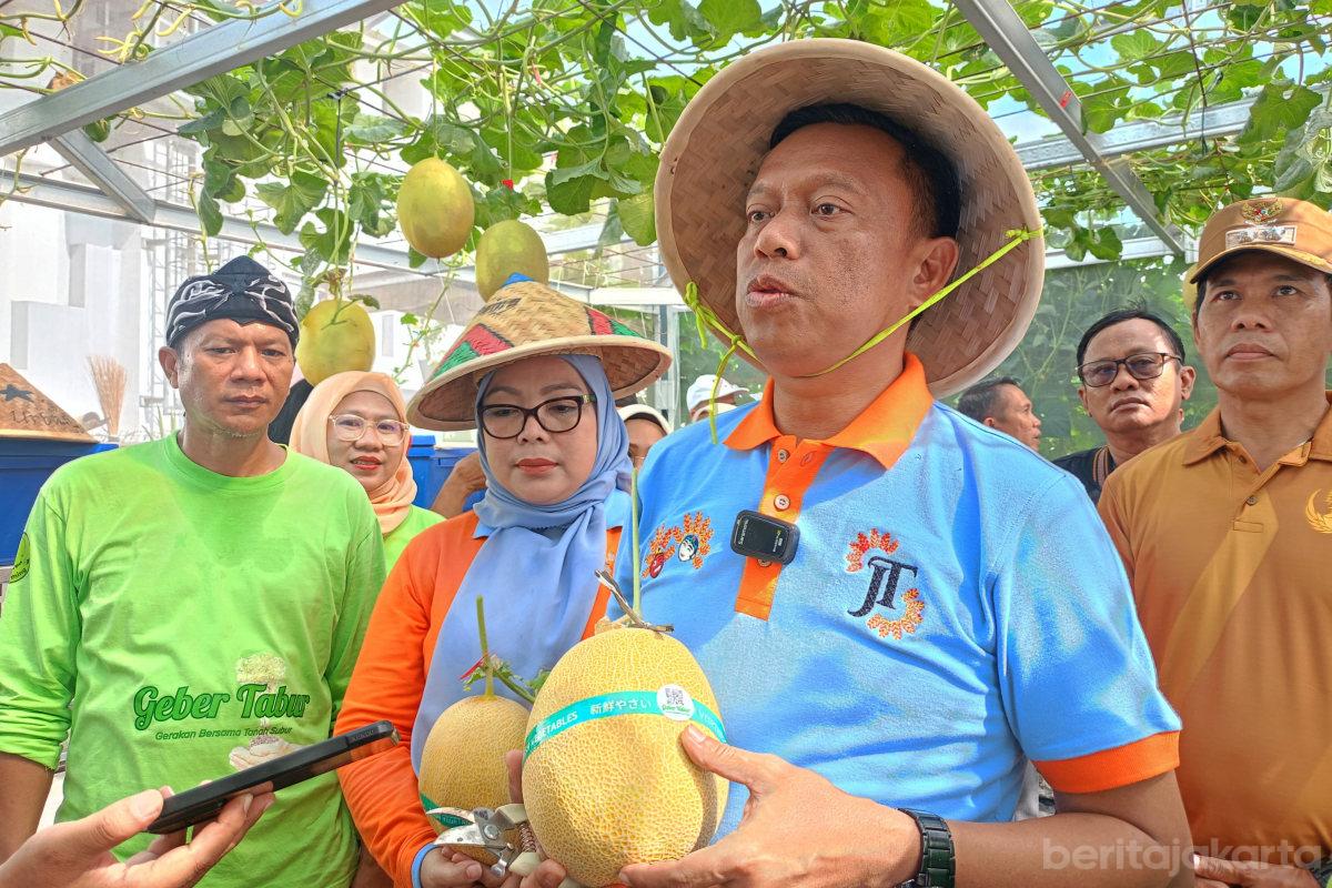 Munjirin panen melon