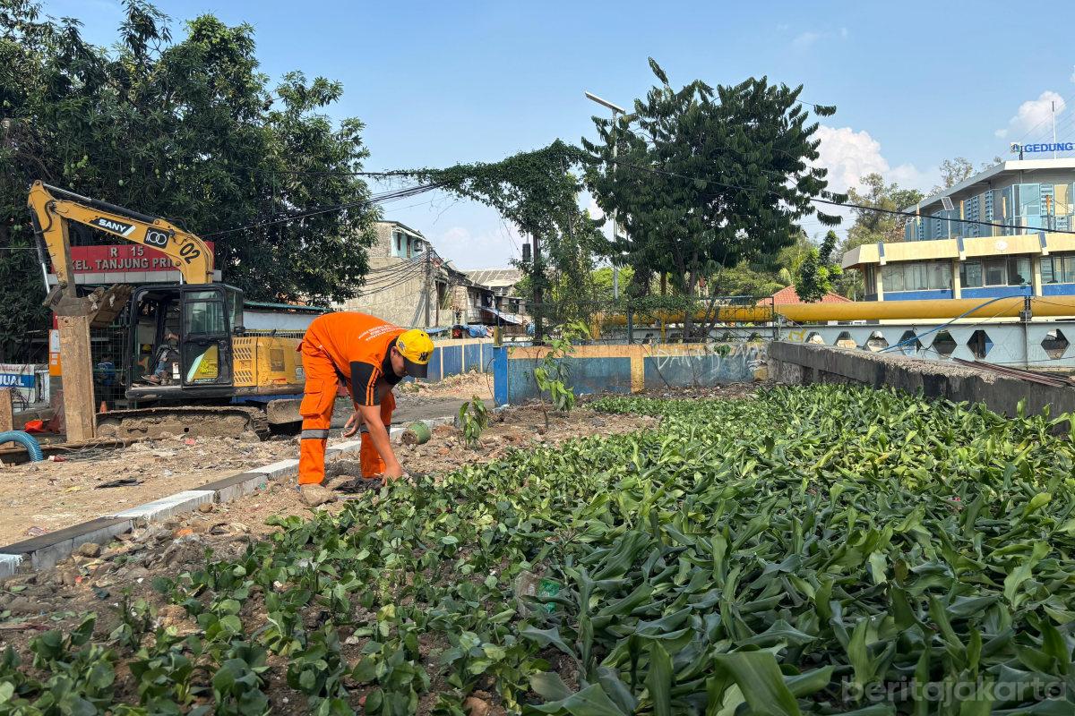 TPS Liar Sampah di Jalan RE Martadinata Dijadikan Taman