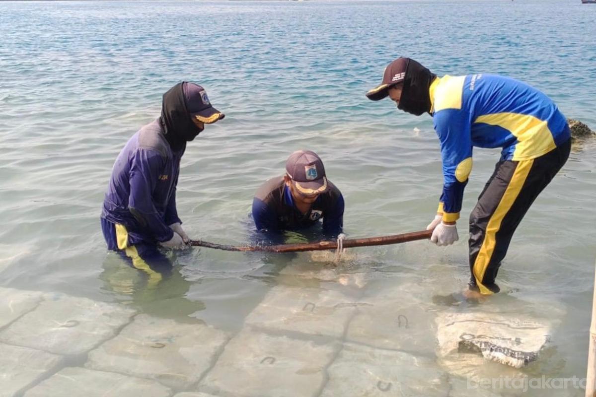 Tanggul pantai pulau kelapa dua anita