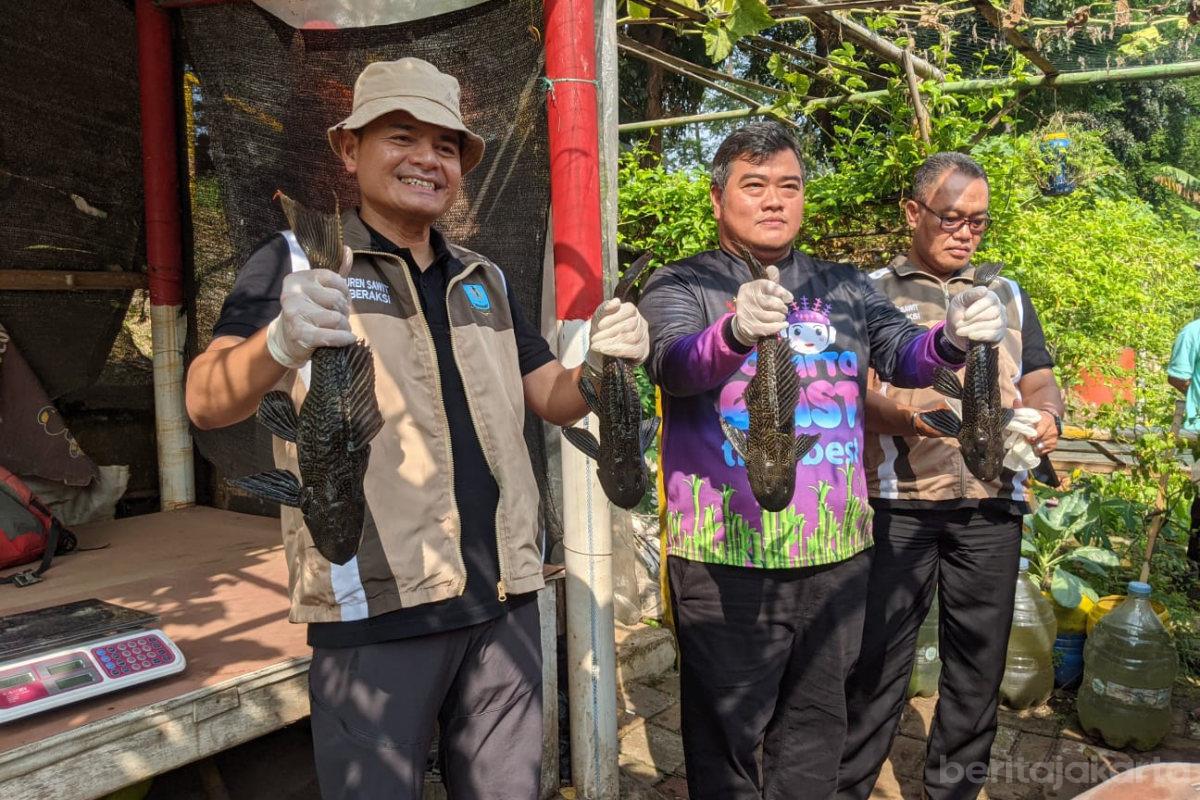 Pengendalian Ikan Sapu sapu di KBT Capai 86 Kilogram (1)