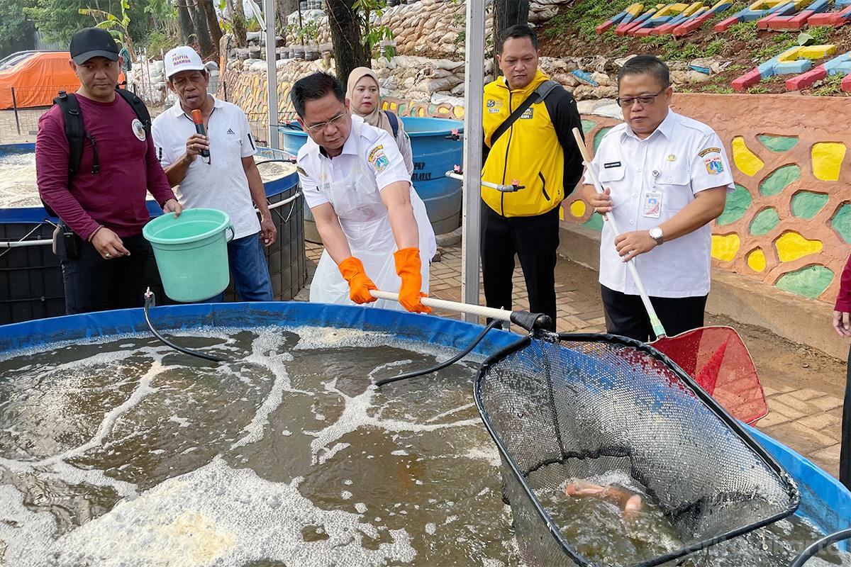 Walikota jaksel syafrin panen ikan tiyo