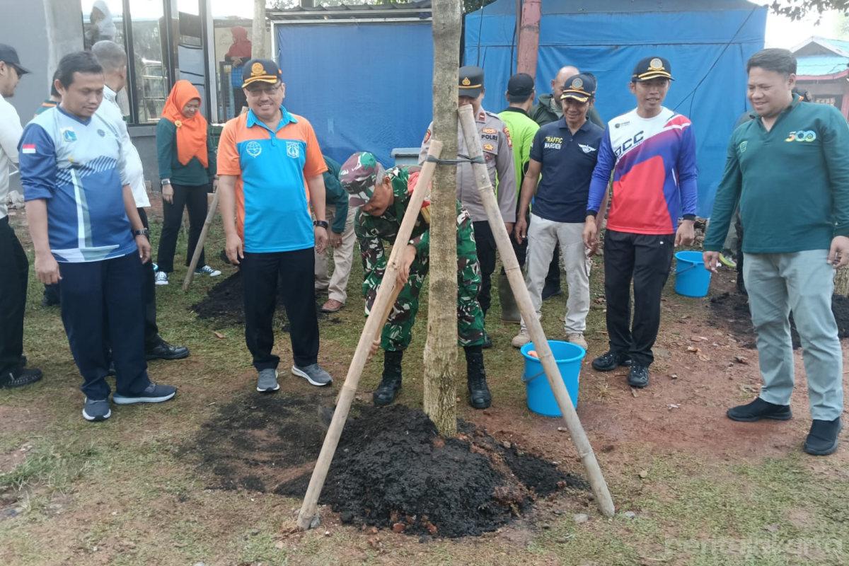 19 Pohon Tabebuya Ditanam di Terminal Kalideres