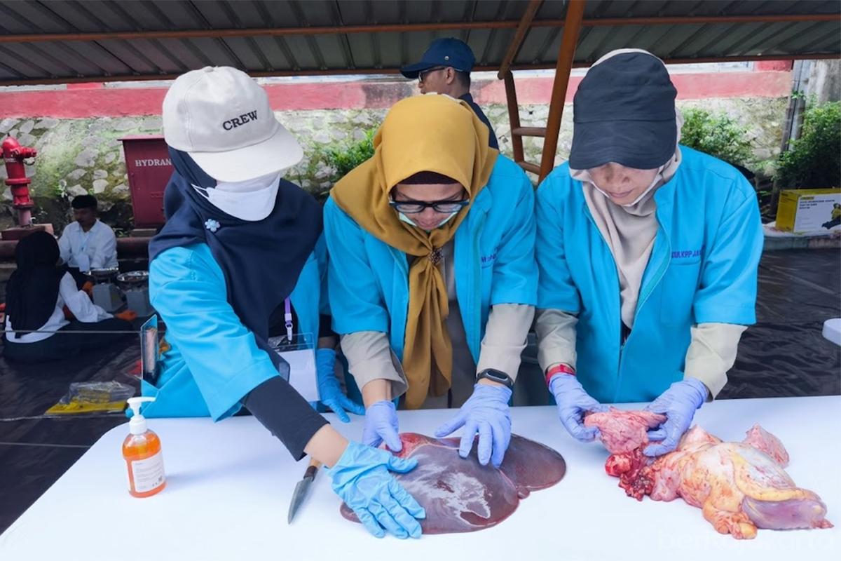 Kpkp jakbar daging jeroan kurban budi