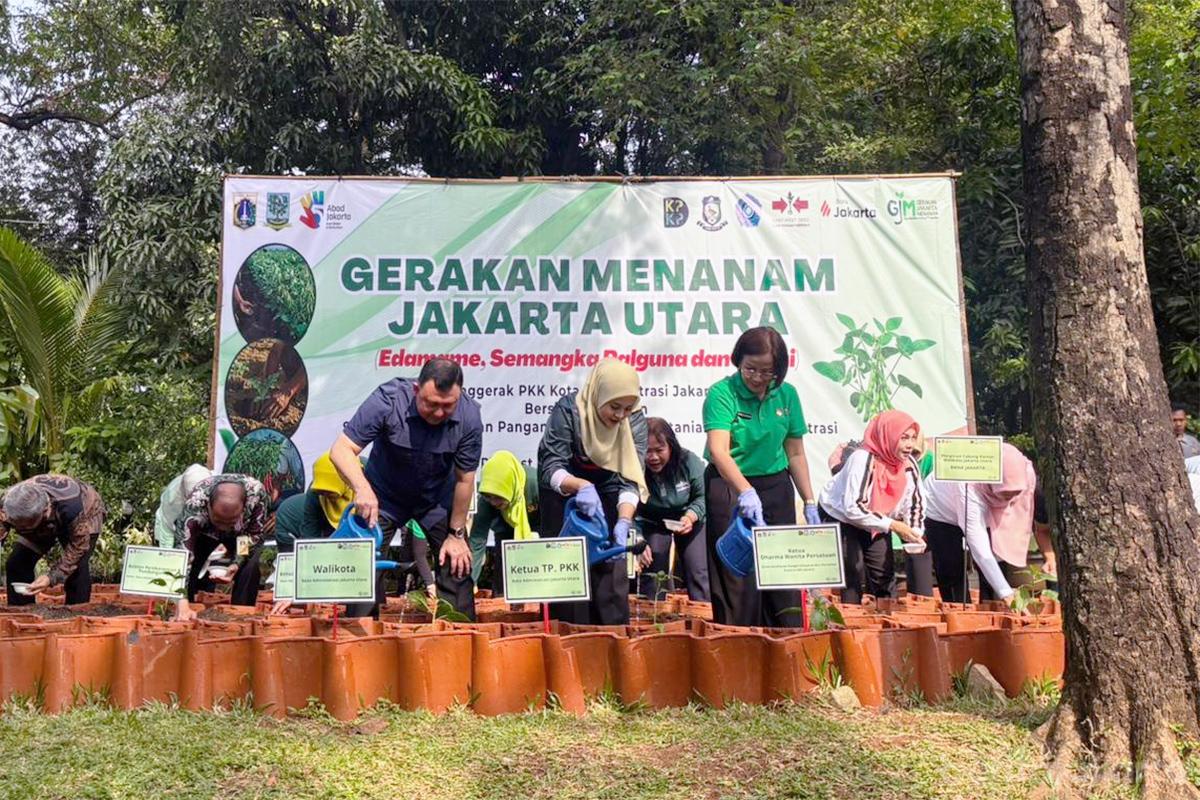 Gerakan menanam jakarta utara anita