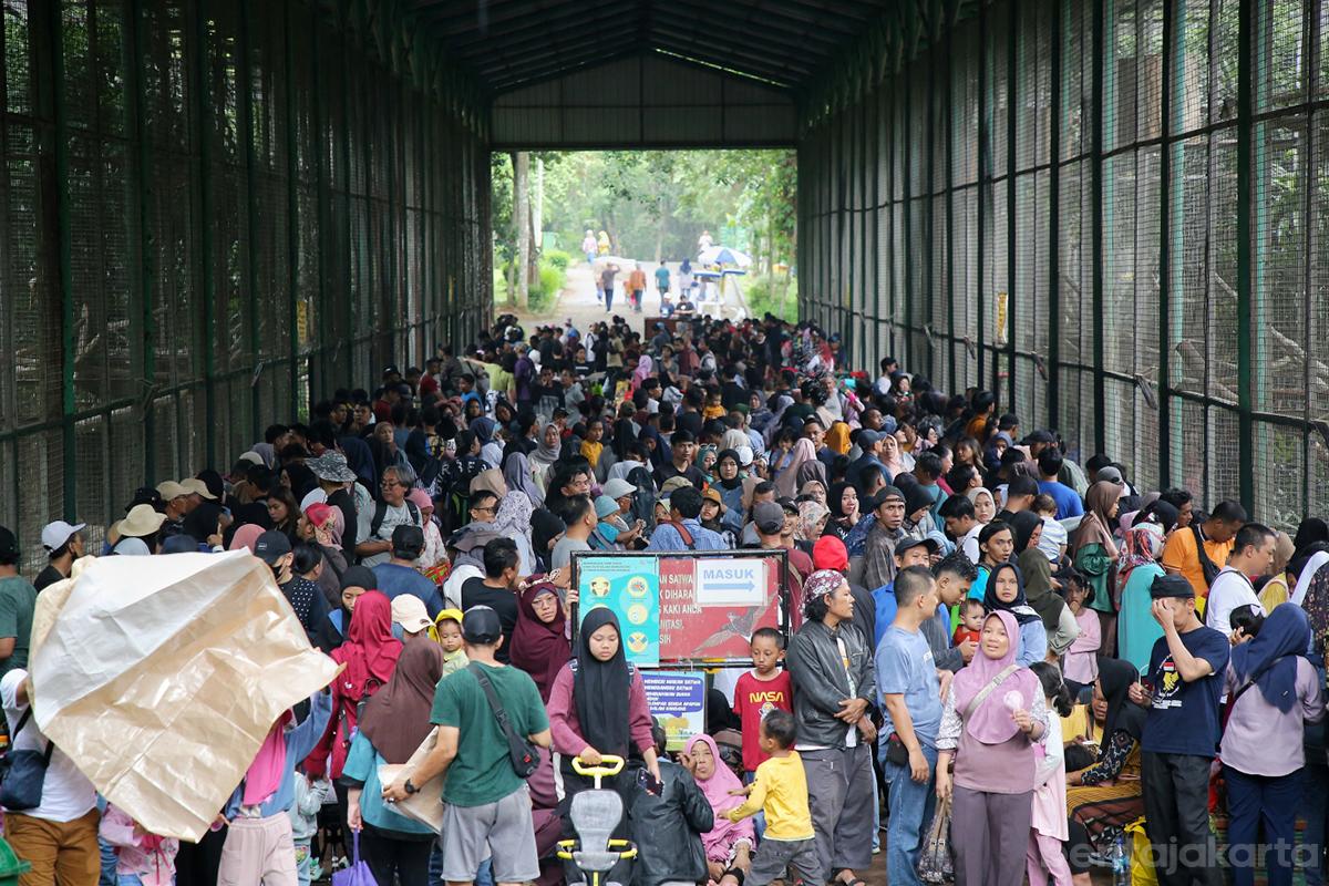 Pengunjung tmr ragunan otoy