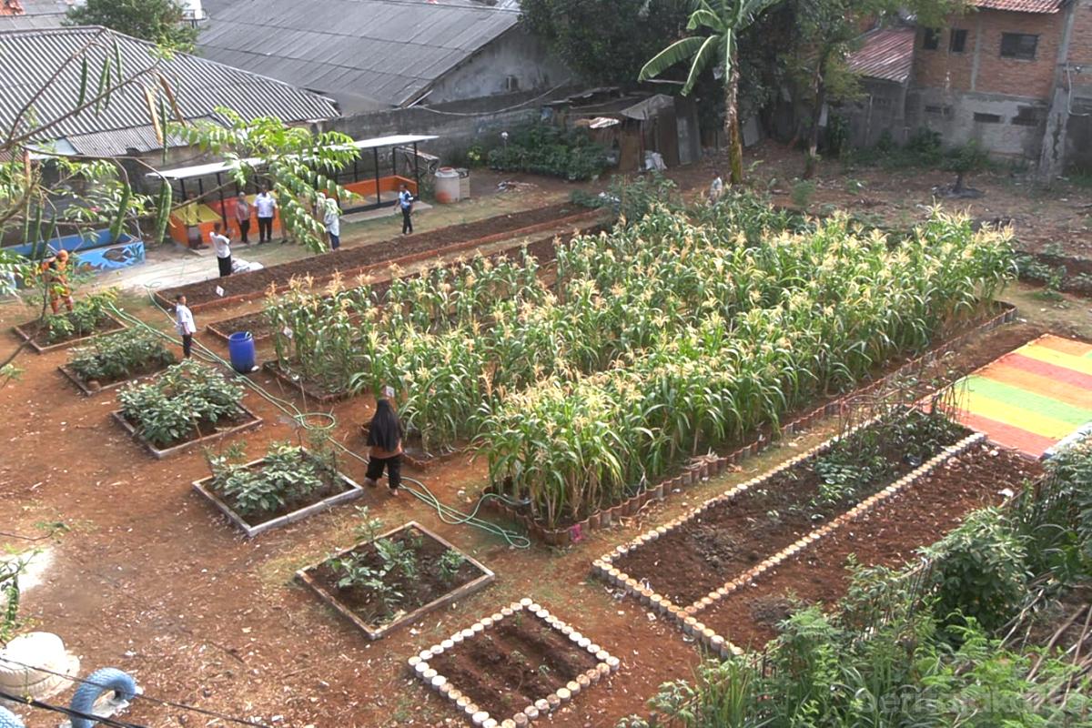 Penataan kawasan petukangan utara tiyo